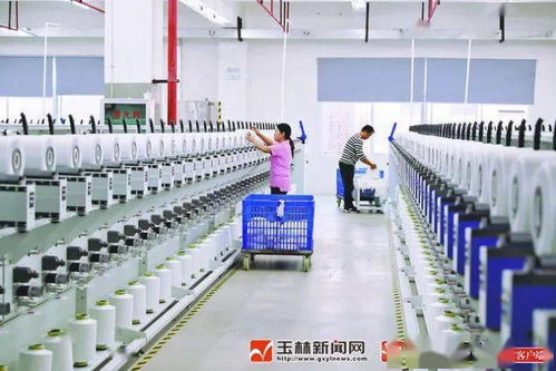 两湾产业融合发展的玉林实践 以节能产品技术开发为引擎